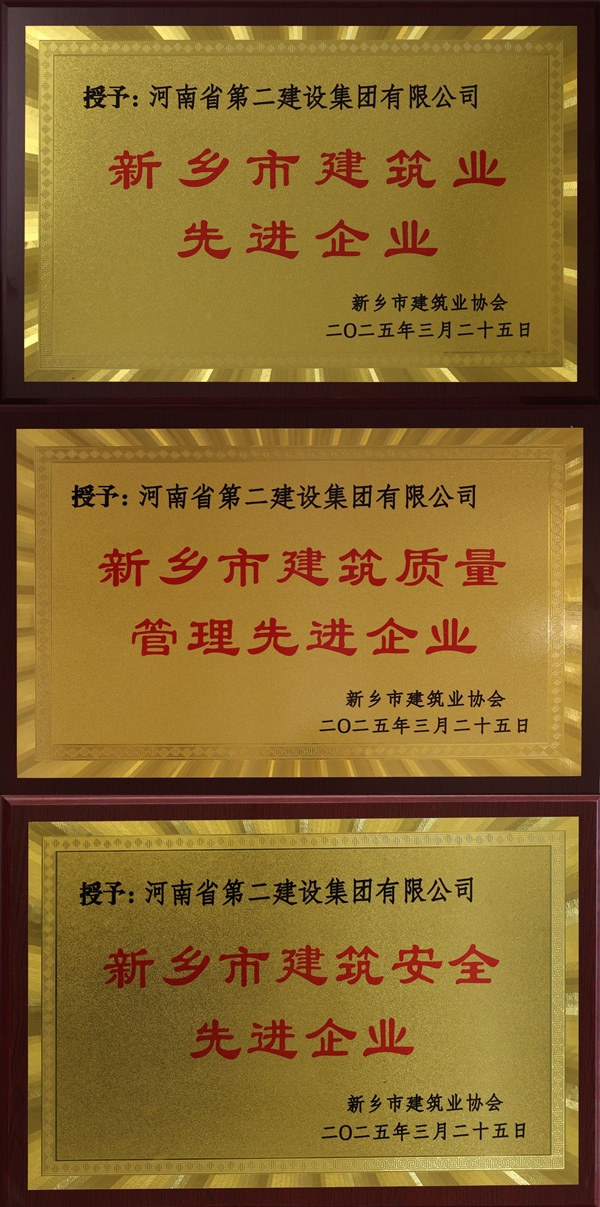 开云足球·（中国）官方网站奖牌拼图.jpg